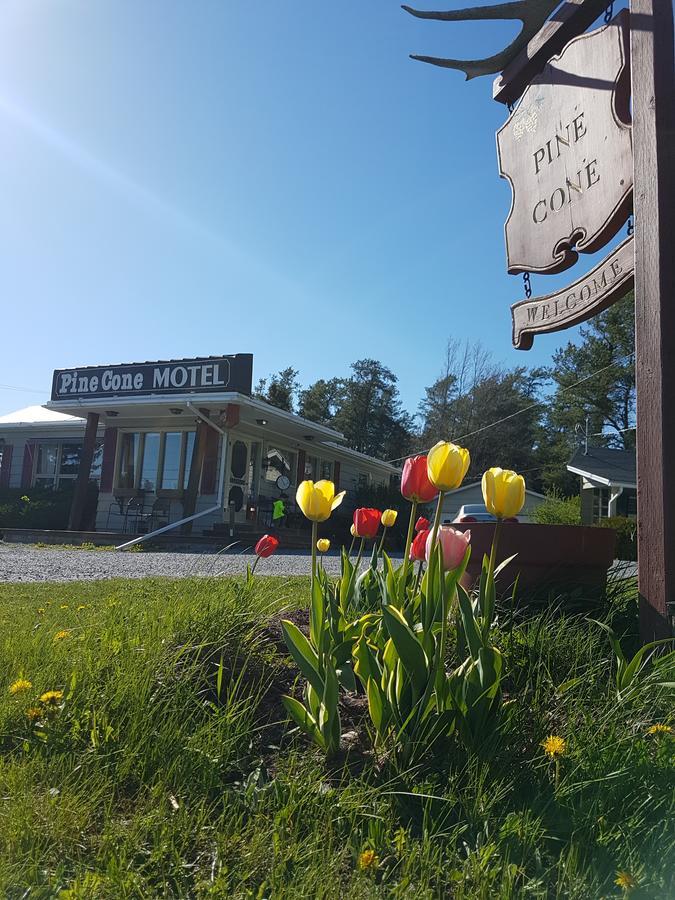 Pinecone Motel Sussex Exterior foto