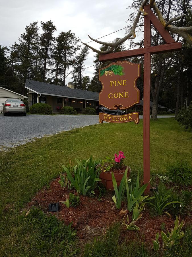 Pinecone Motel Sussex Exterior foto